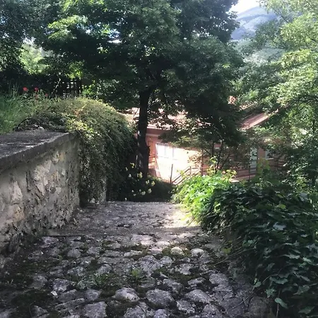A 스칸노